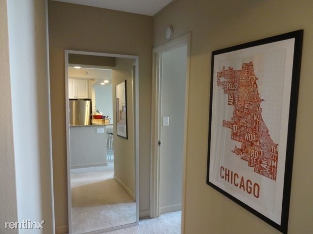 10 E Ontario St Apt 4405 - Photo 4