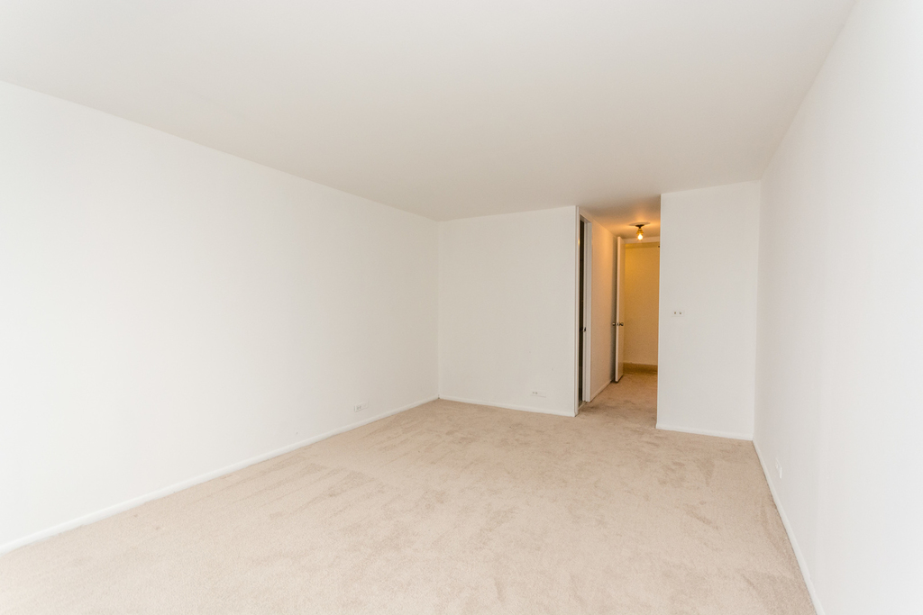 1700 East 56th Street - Photo 8