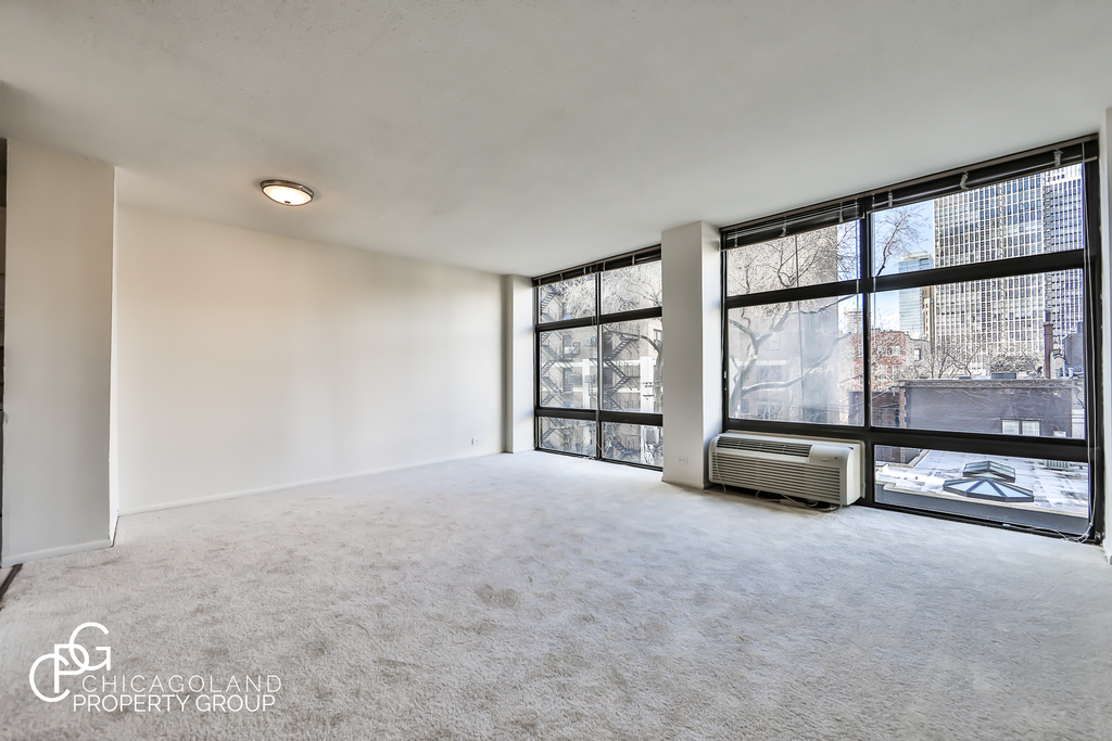 65 East Scott St. - Photo 2