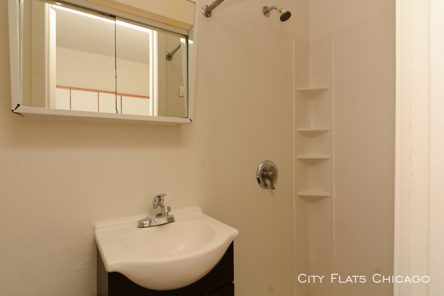 3957 W. Irving Park - Photo 14