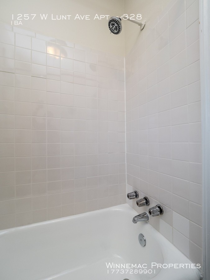 1257 W Lunt Ave Apt. - Photo 7