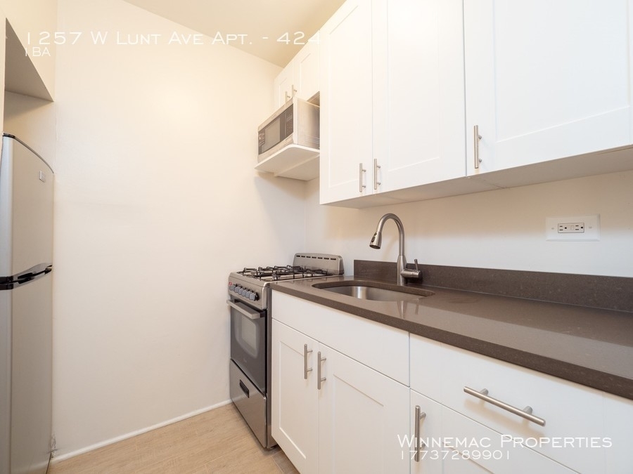 1257 W Lunt Ave Apt. - Photo 5