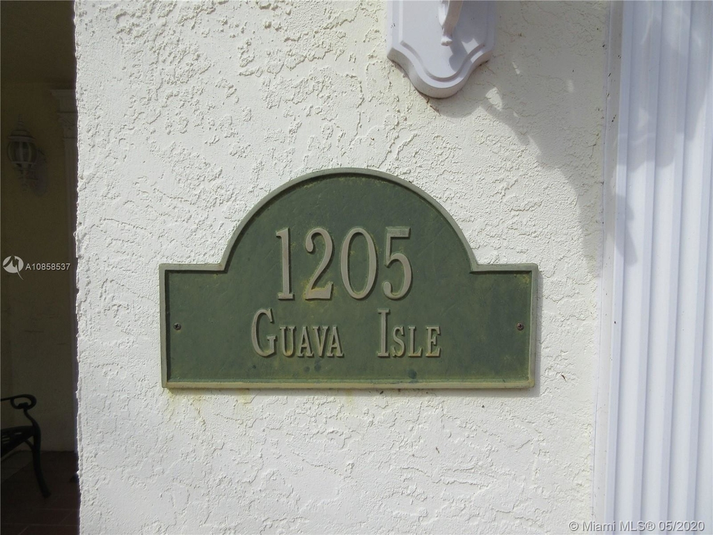 1205 Guava Isle - Photo 1