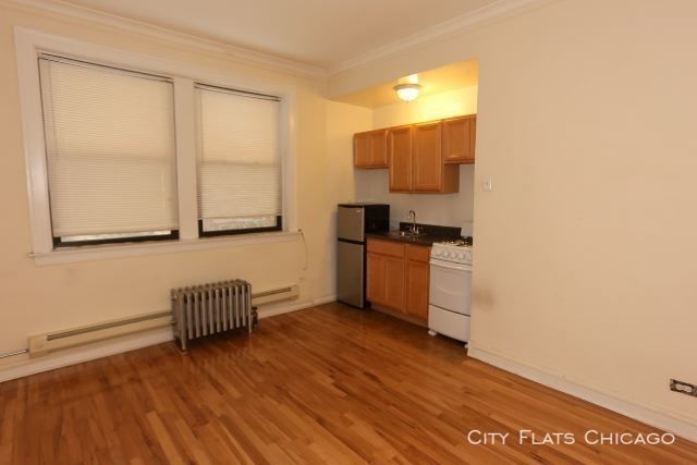 4546 N. Damen - Photo 5