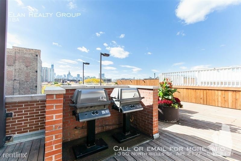 1350 North Wells St. Apt 217f - Photo 166