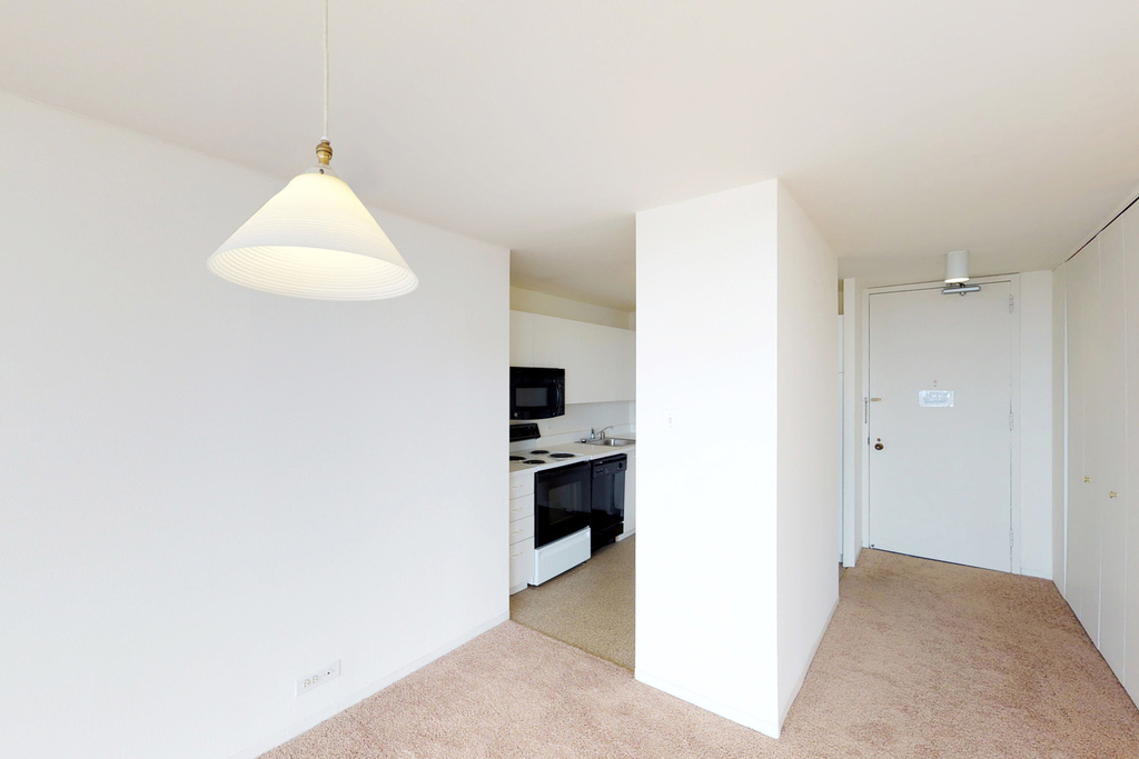 5035 S East End Ave - Photo 832