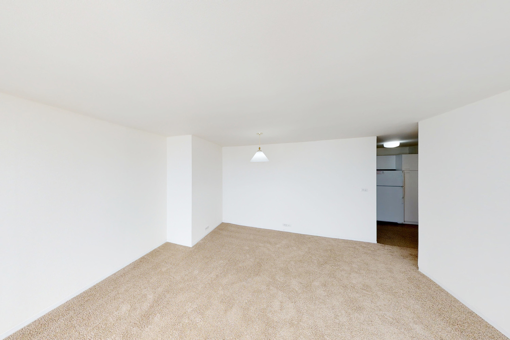 5035 S East End Ave - Photo 1051