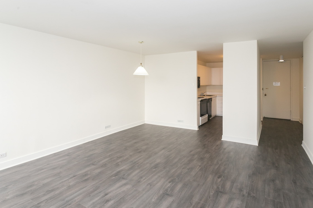 5035 S East End Ave - Photo 325