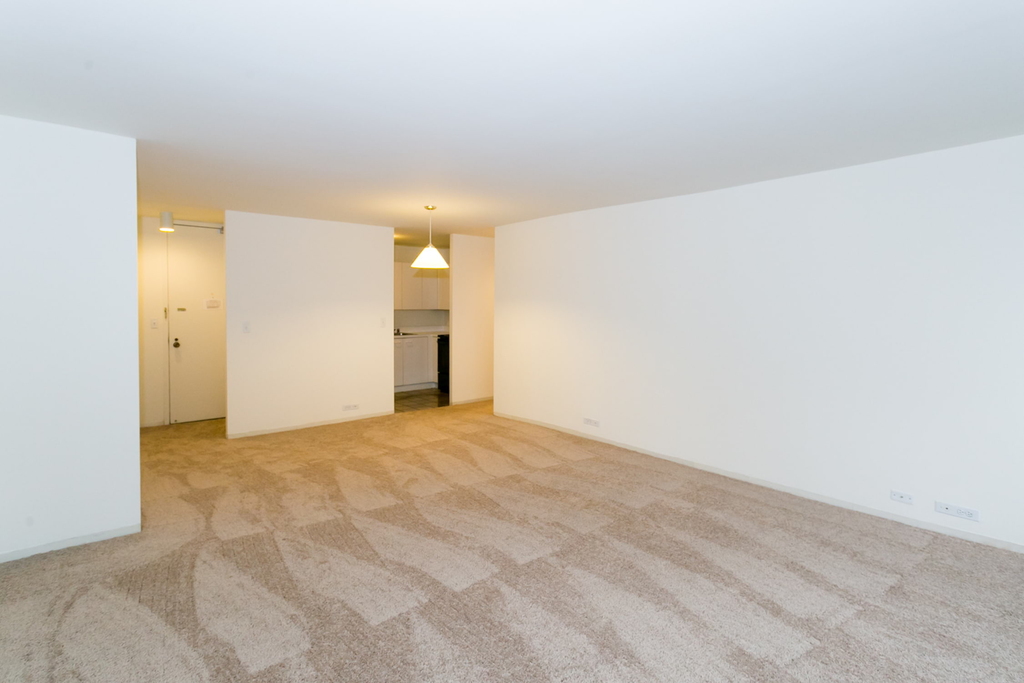 5035 S East End Ave - Photo 714