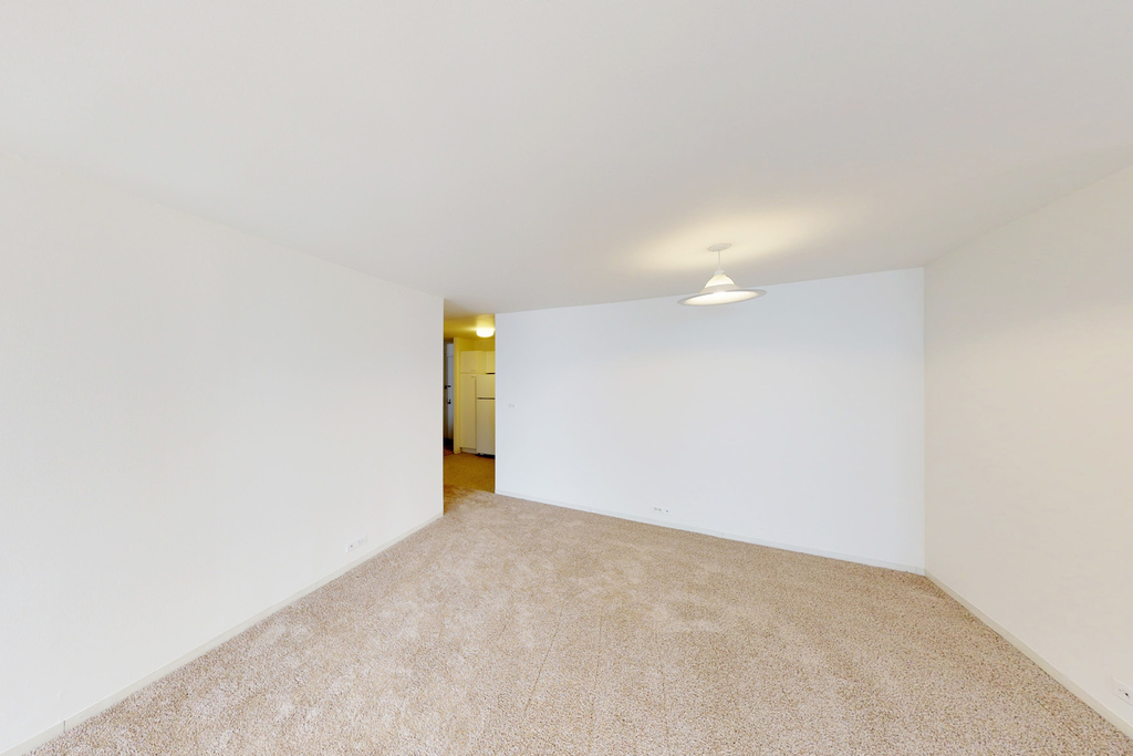 5035 S East End Ave - Photo 351