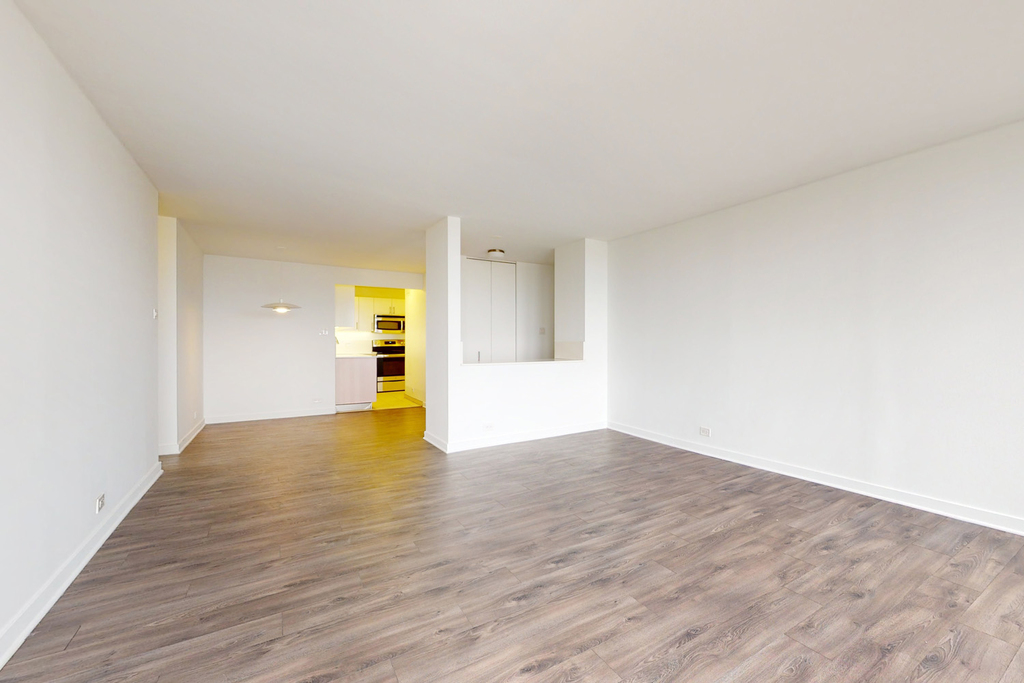 5035 S East End Ave - Photo 944