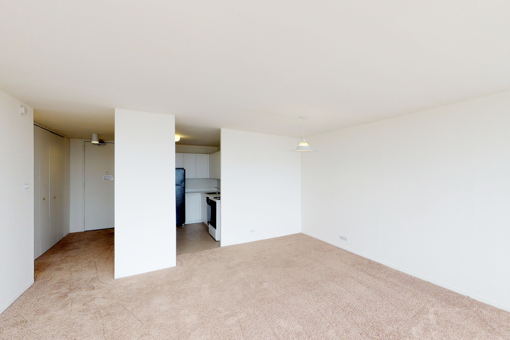 5035 S East End Ave - Photo 977