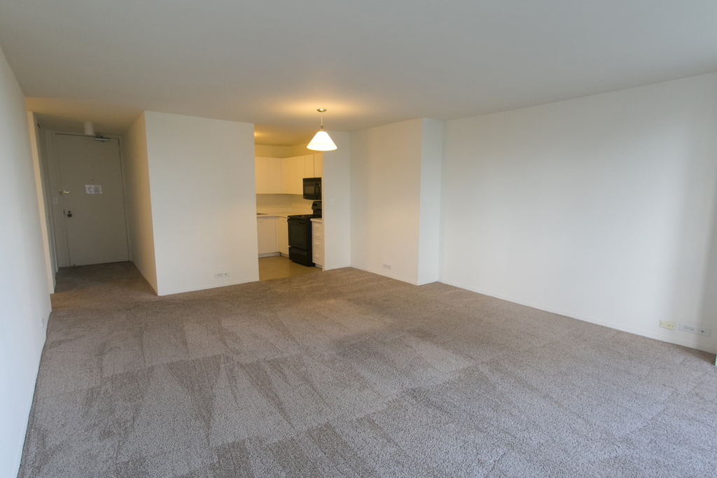 5035 S East End Ave - Photo 382
