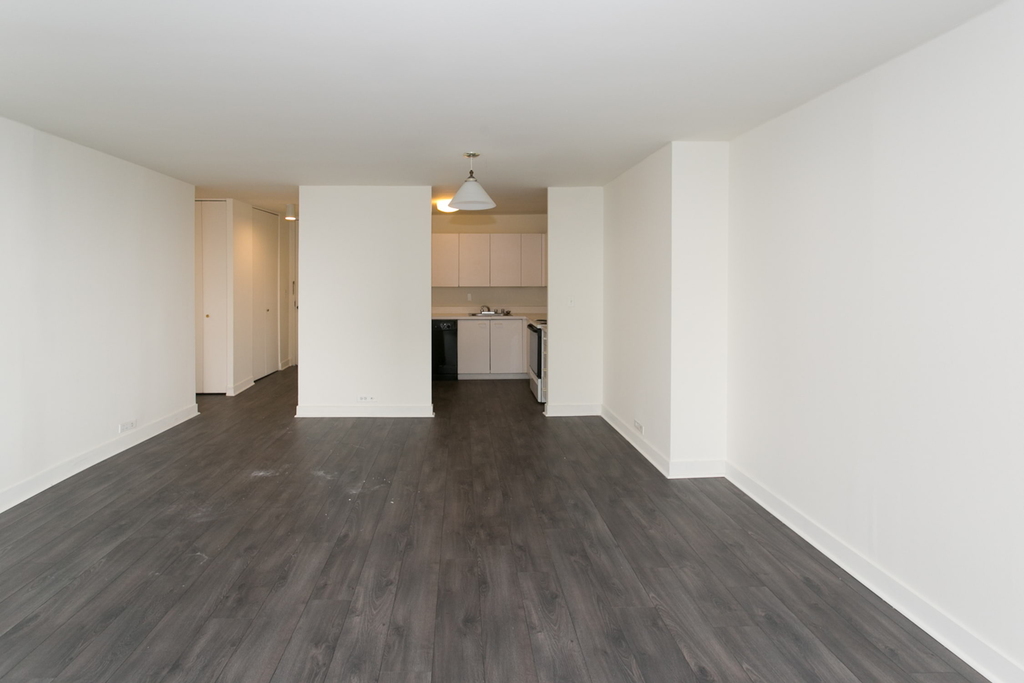 5035 S East End Ave - Photo 900