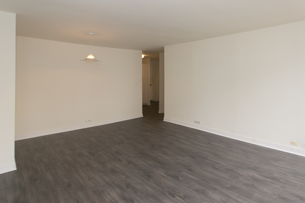 5035 S East End Ave - Photo 993