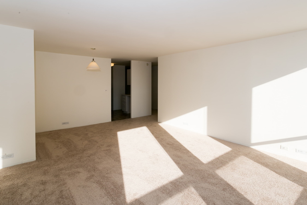 5035 S East End Ave - Photo 504