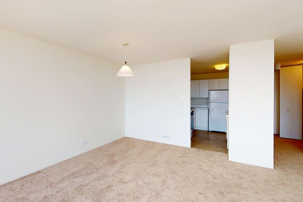 5035 S East End Ave - Photo 777