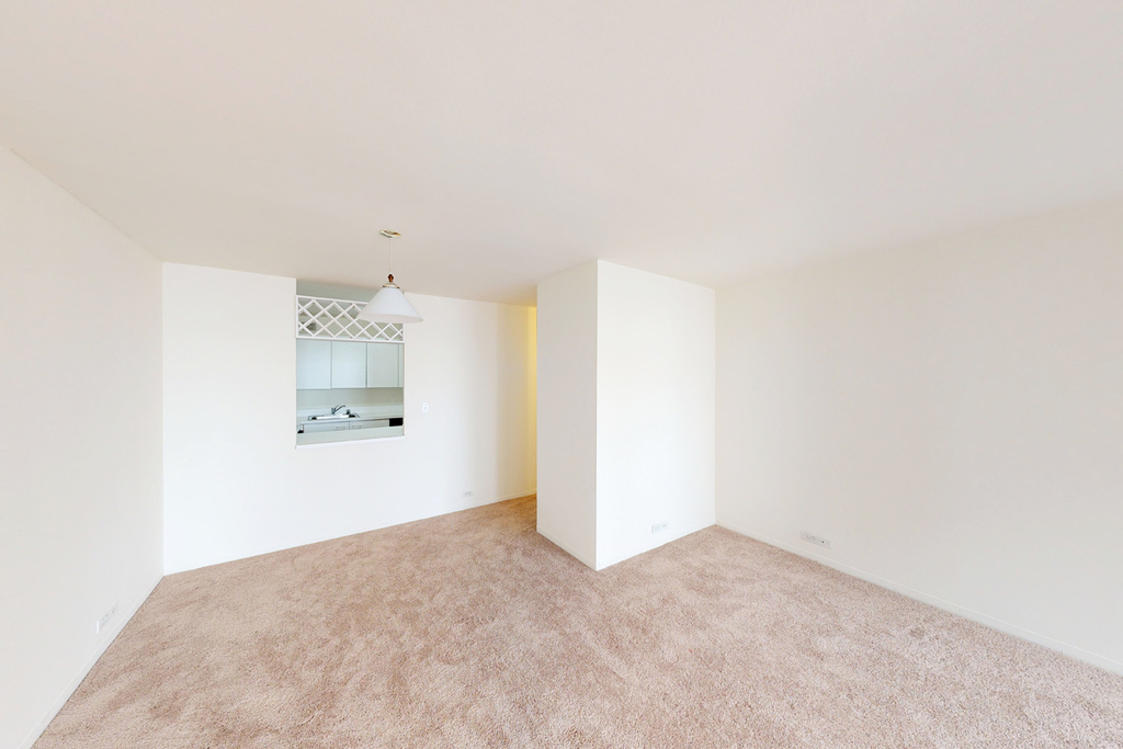 5035 S East End Ave - Photo 868