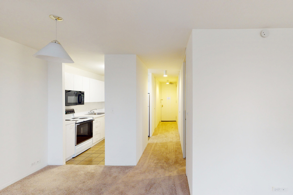 5035 S East End Ave - Photo 295
