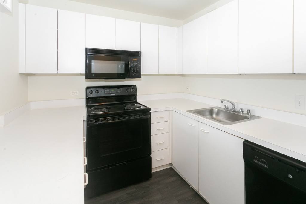 5035 S East End Ave - Photo 769