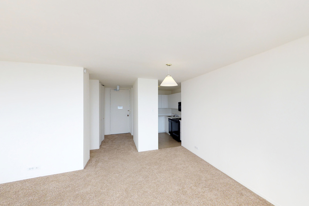 5035 S East End Ave - Photo 403