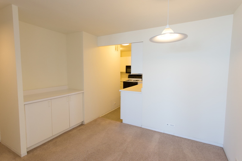 5035 S East End Ave - Photo 1073