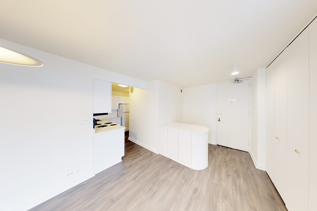 5035 S East End Ave - Photo 877