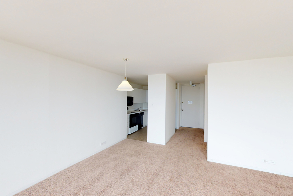 5035 S East End Ave - Photo 935