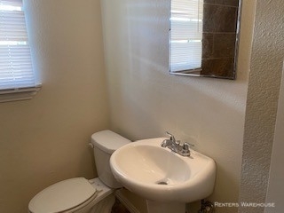 4725 Denmark St - Photo 8