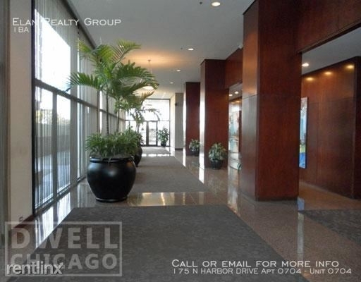 175 N Harbor Drive Apt 0704 - Photo 48