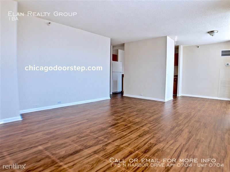 175 N Harbor Drive Apt 0704 - Photo 123