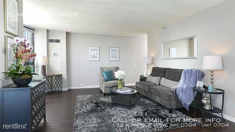 175 N Harbor Drive Apt 0704 - Photo 13