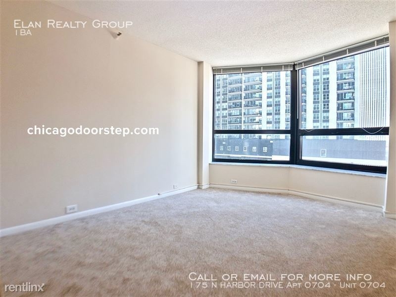 175 N Harbor Drive Apt 0704 - Photo 134