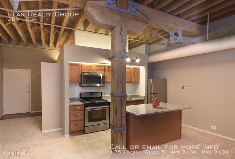 1350 North Wells St. Apt 313a - Photo 105