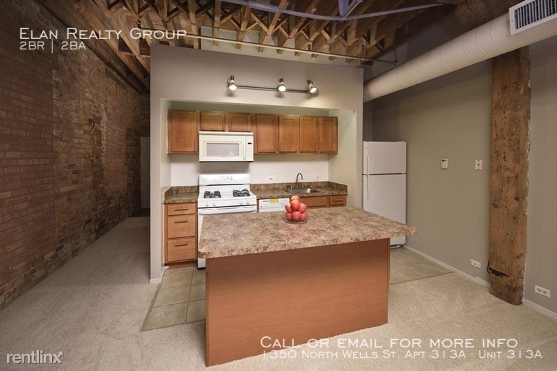 1350 North Wells St. Apt 313a - Photo 93