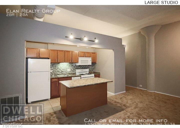 1350 North Wells St. Apt 313a - Photo 127