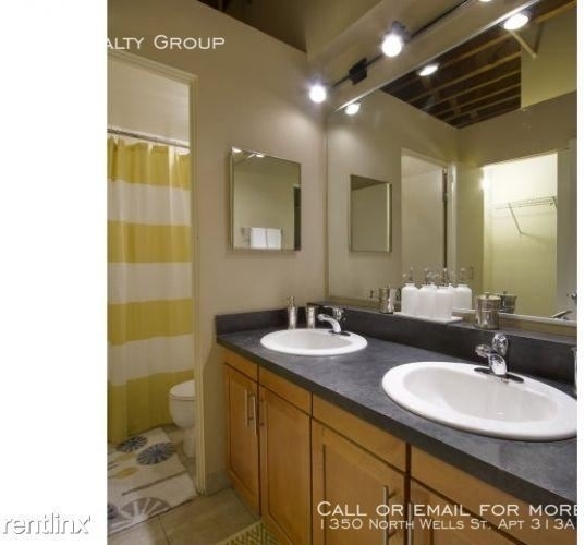 1350 North Wells St. Apt 313a - Photo 41