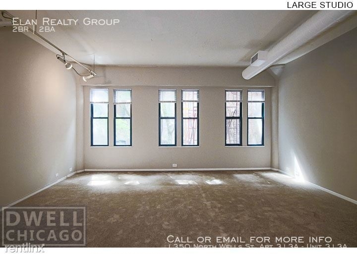 1350 North Wells St. Apt 313a - Photo 124