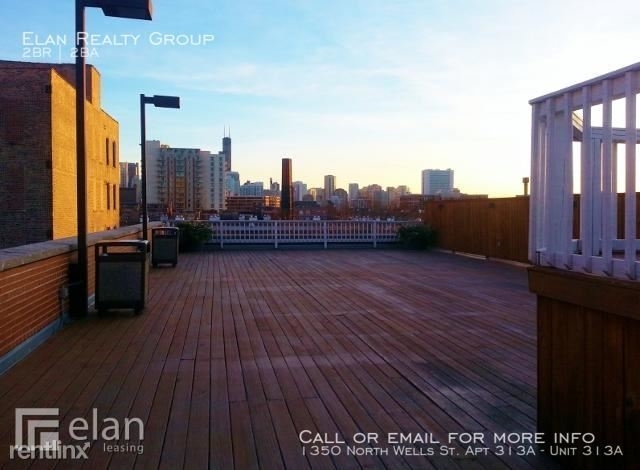 1350 North Wells St. Apt 313a - Photo 9