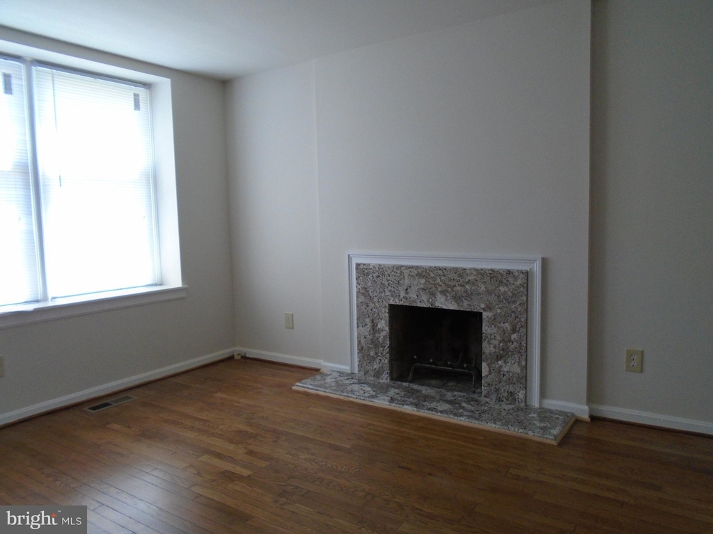 1523 Oronoco Street - Photo 3