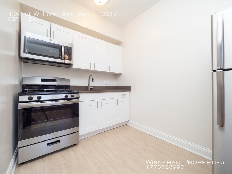 1310 W Lunt Ave Apt. - Photo 6