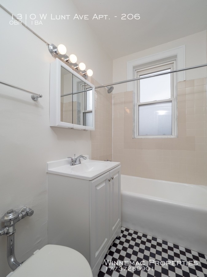 1310 W Lunt Ave Apt. - Photo 8