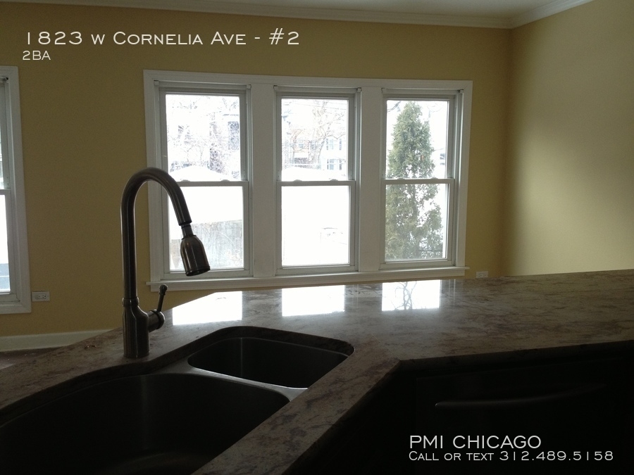 1823 W Cornelia Ave - Photo 18