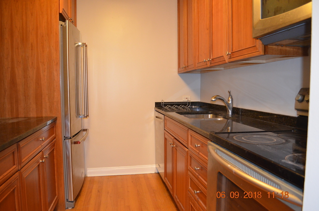 535 North Michigan Avenue - Photo 2