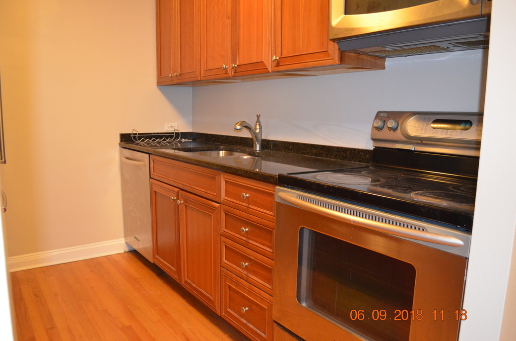 535 North Michigan Avenue - Photo 3