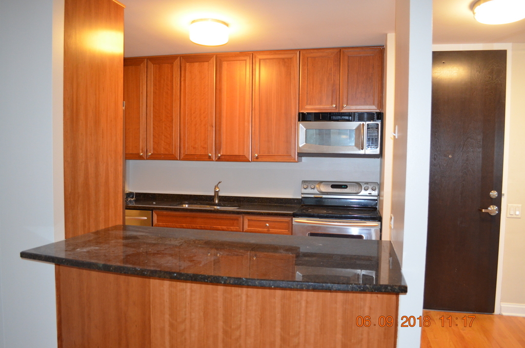 535 North Michigan Avenue - Photo 1