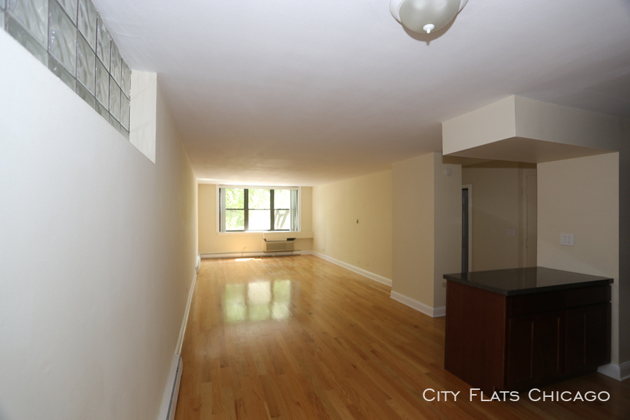 1446 N. Dearborn - Photo 7