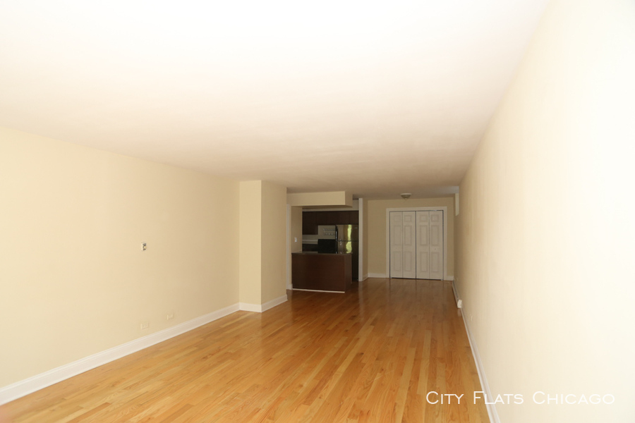 1446 N. Dearborn - Photo 8