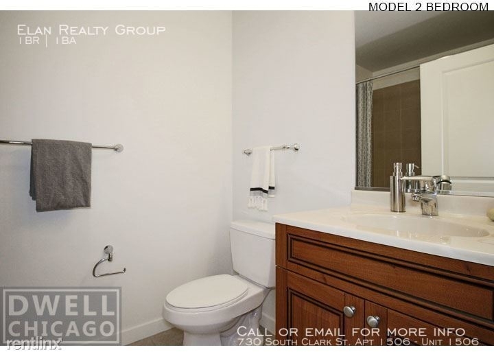 730 South Clark St. Apt 1506 - Photo 12