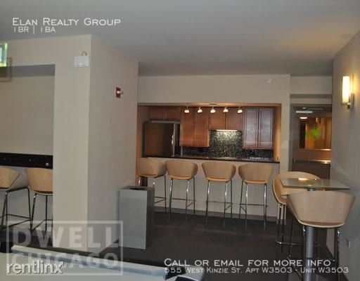 555 West Kinzie St. Apt W3503 - Photo 66